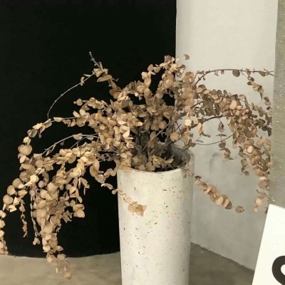 Furry插画创意构思兽圈社群